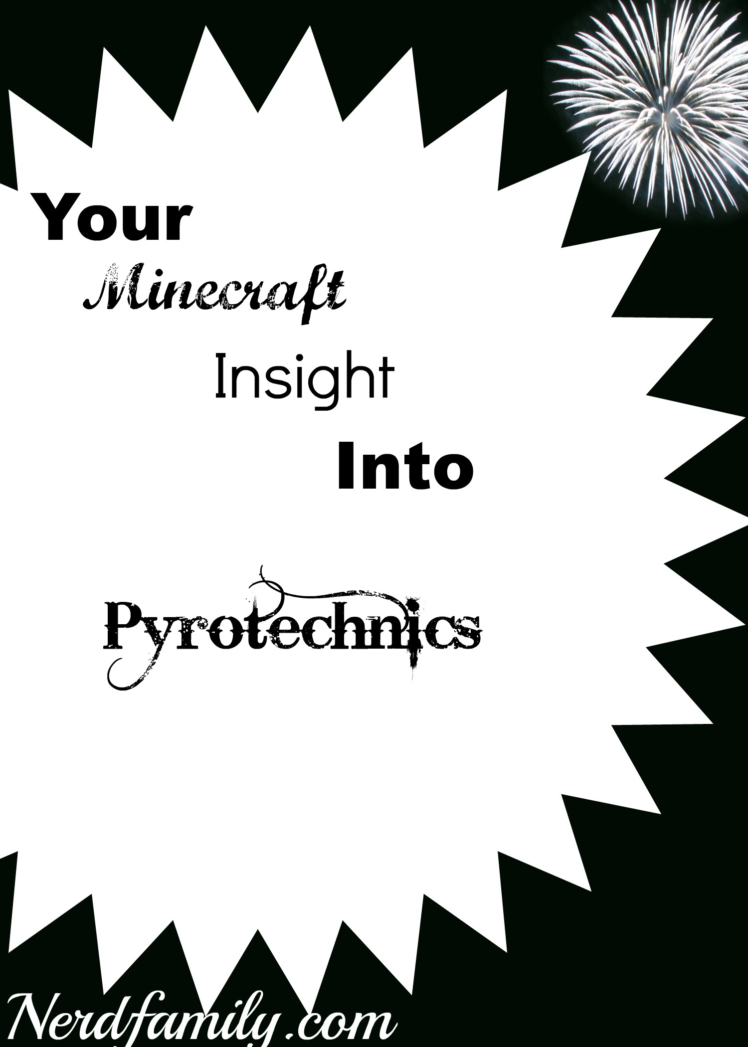 your minecraft insight into Protechnics