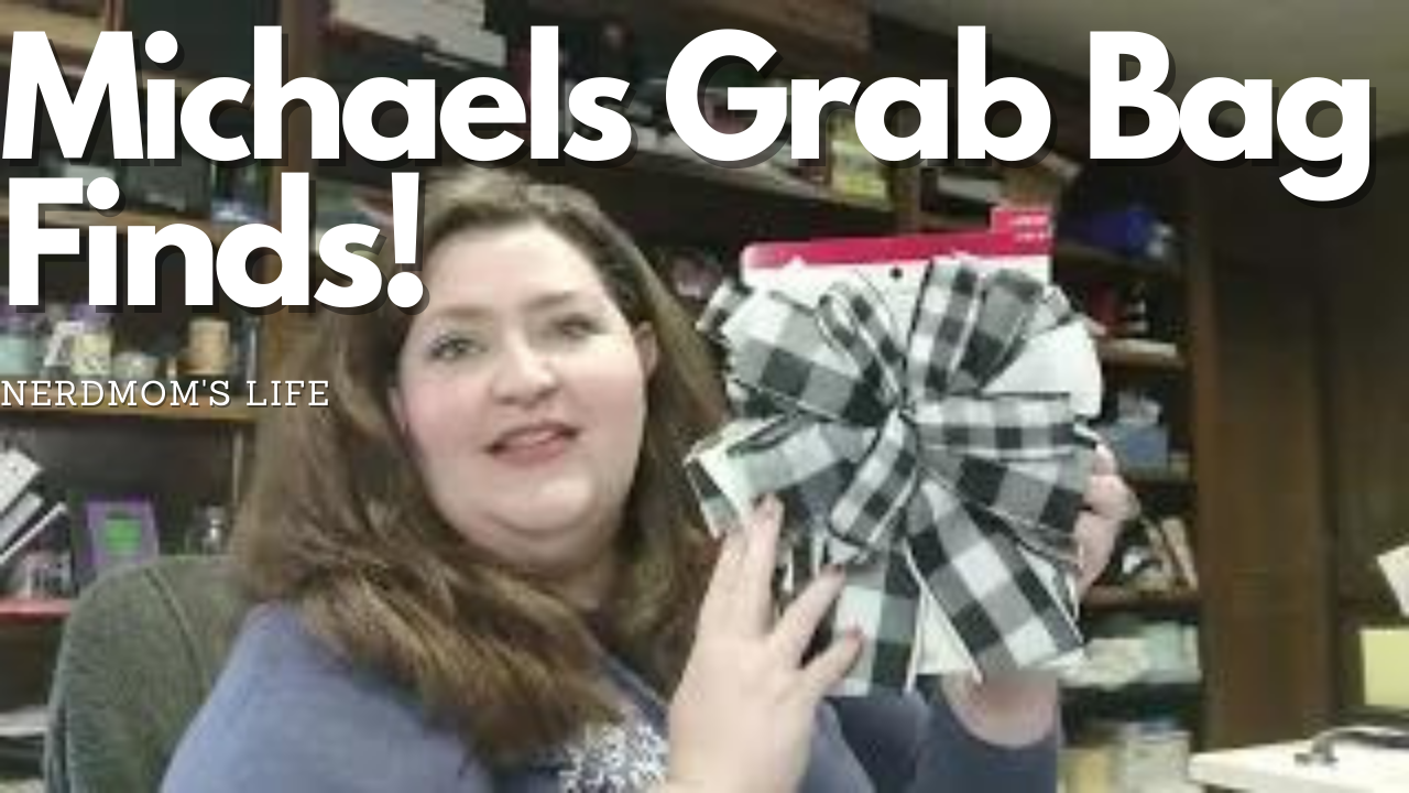 Michaels Grab Bag Finds! Nerd Family